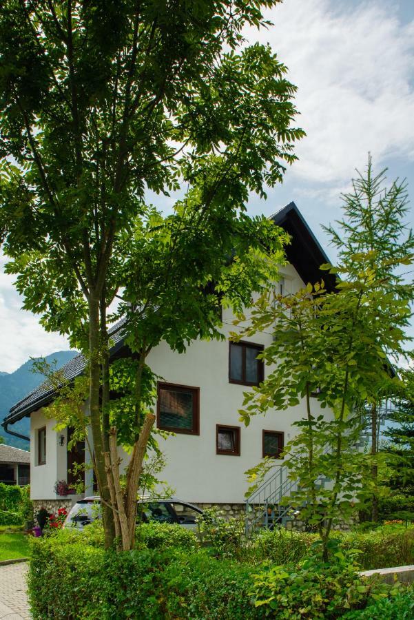Apartment Ana 博希尼 外观 照片